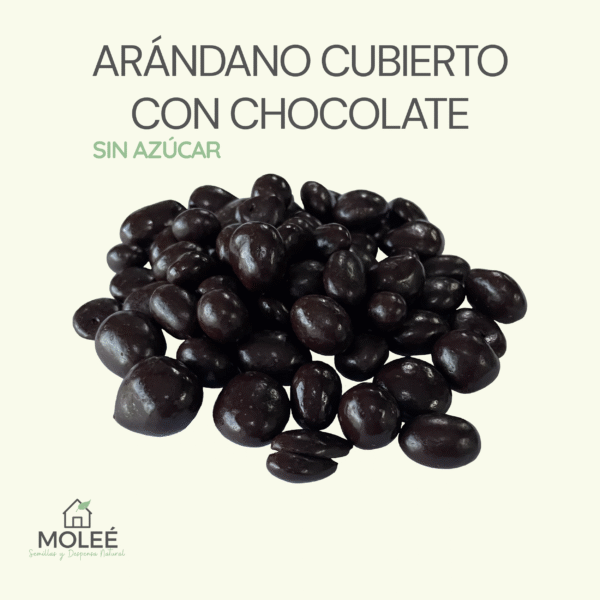 Arándano Cubierto Con Chocolate Sin Azúcar