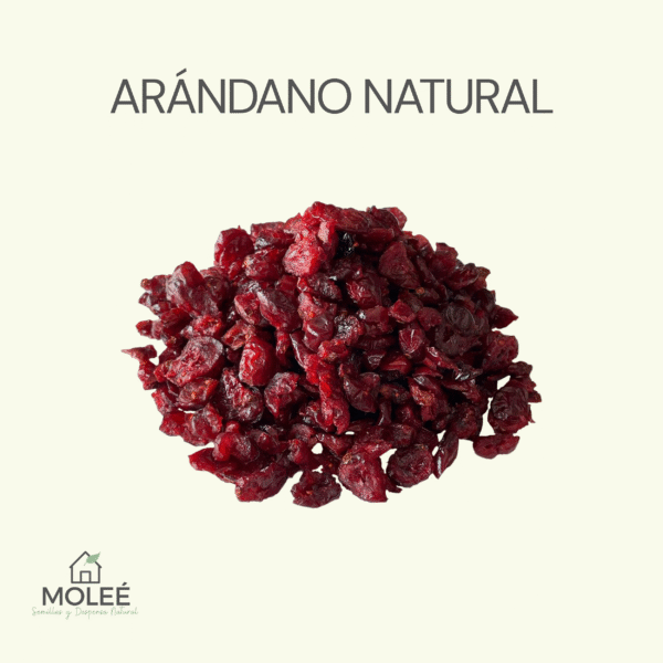 Arándano Natural