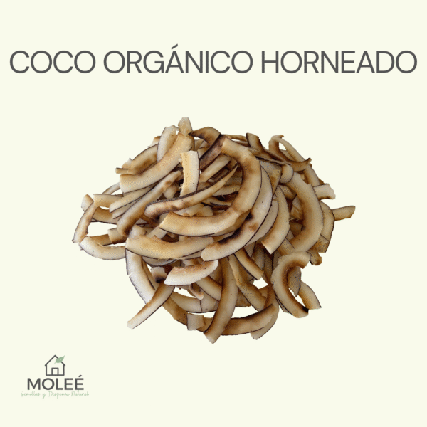 Coco Orgánico Horneado