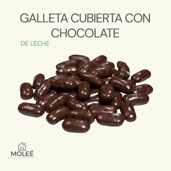 Galleta Cubierta Con Chocolate De Leche