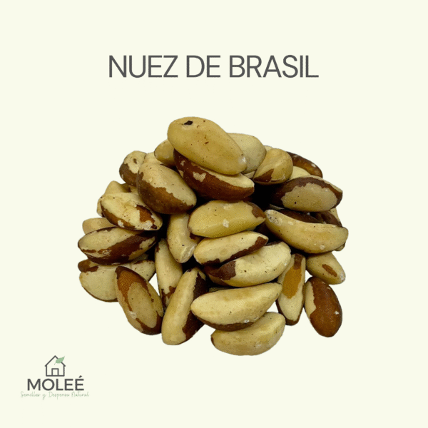 Nuez De Brasíl