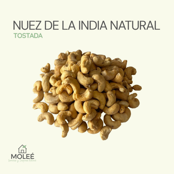 Nuez De La India Natural Tostada