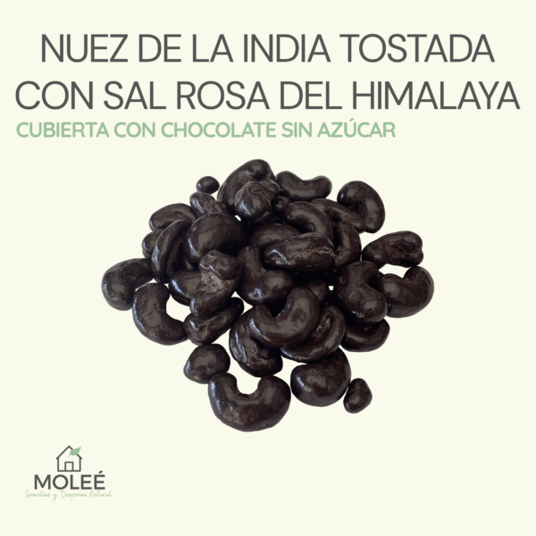 Nuez De La India Tostada Con Sal Rosa Del Himalaya Cubierta Con Chocolate Sin Azúcar