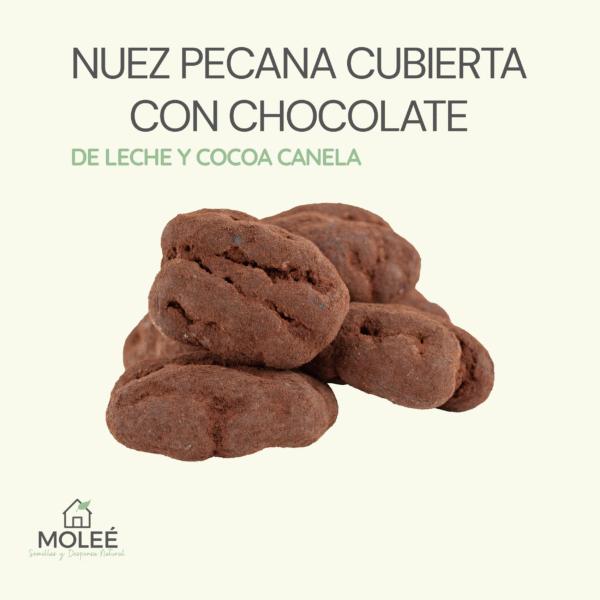Nuez Pecana Cubierta Con Chocolate De Leche Y Cocoa Canela