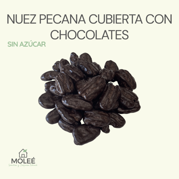 Nuez Pecana Cubierta Con Chocolate Sin Azúcar