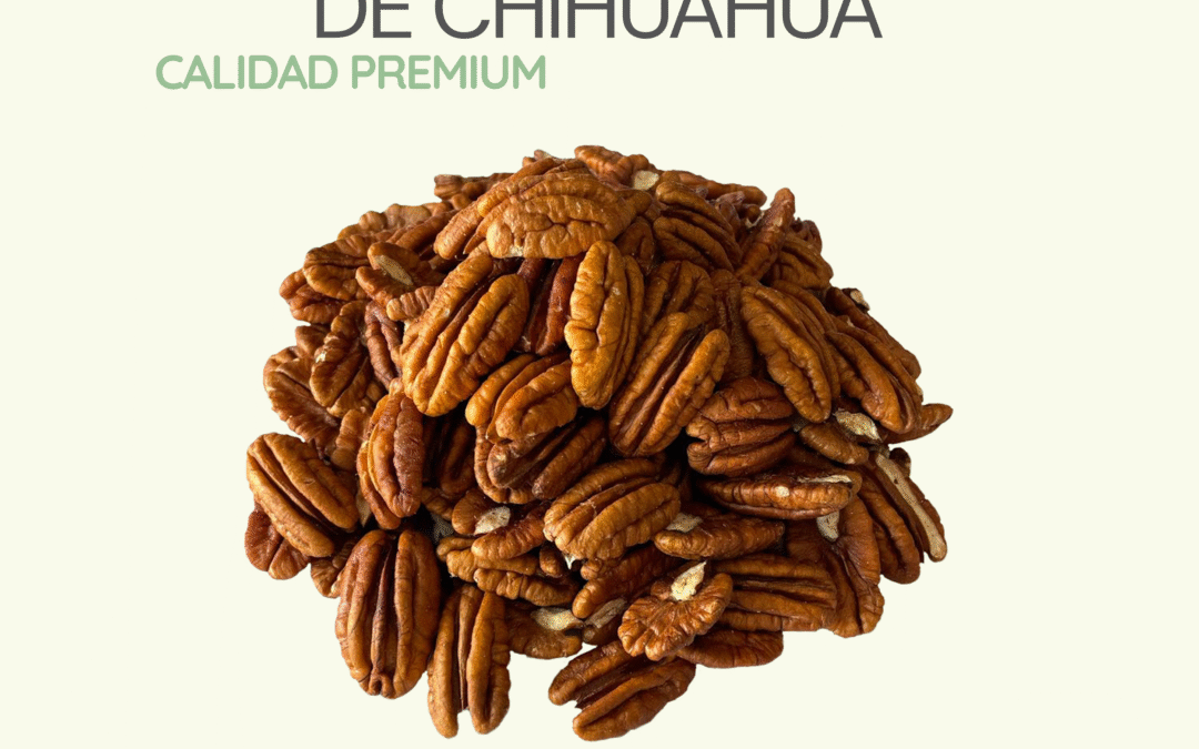 Nuez Pecana Natural De Chihuahua – Calidad Premium