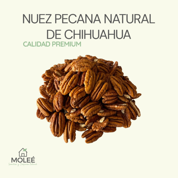 Nuez Pecana Natural De Chihuahua - Calidad Premium