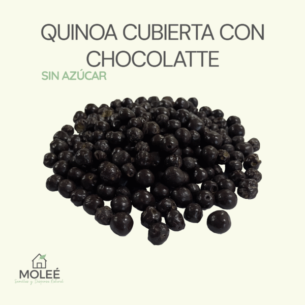 Quinoa Cubierta Con Chocolate Sin Azúcar